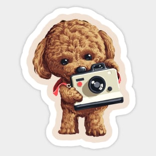 Poodle Dog taking picture with camera Sticker
